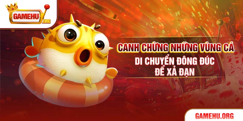 Canh chừng những vùng cá di chuyển đông đúc để xả đạn