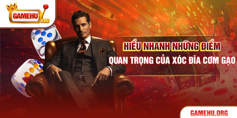 Hiểu nhanh những điểm quan trọng của xóc đĩa cơm gạo